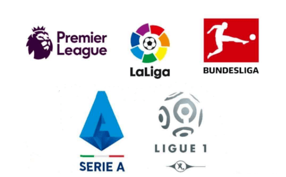 蕾拆队后 蕾拆队后